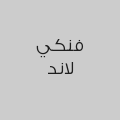 فنكي لاند