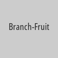 Branch-Fruit