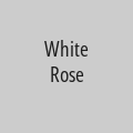 White Rose 