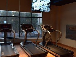 Subscribe for 6 months and get 2 months free for 3800 SR