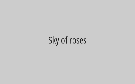 Sky of roses