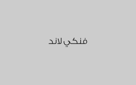 فنكي لاند